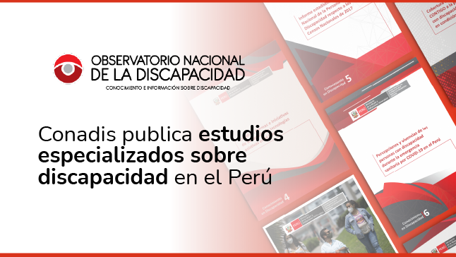 Resumen de libros sobre diversos estudios especializados sobre  la temática de la discapacidad en el Perú