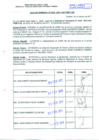 Vista preliminar de documento RES.DIRECT N°103-2011-AG-PEBPT-DE.pdf