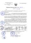 Vista preliminar de documento RD N°0029-2019.pdf