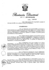 Vista preliminar de documento RD N° 132-2016.pdf
