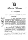 Vista preliminar de documento RD N° 141-2016.pdf