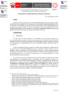 Vista preliminar de documento Resolución