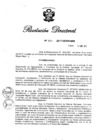 Vista preliminar de documento RD N° 007-2017.pdf