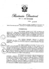Vista preliminar de documento RD N° 013-2017.pdf