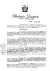 Vista preliminar de documento RD N° 027-2017.pdf