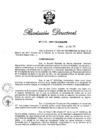 Vista preliminar de documento RD N° 028-2017.pdf