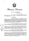 Vista preliminar de documento RD N° 029-2017.pdf