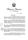 Vista preliminar de documento RD N° 031-2017.pdf