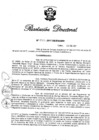 Vista preliminar de documento RD N° 033-2017.pdf