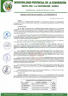Vista preliminar de documento RA-217-2020-MPLC/A