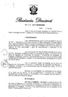 Vista preliminar de documento RD N° 045-2017.pdf