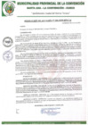 Vista preliminar de documento RA-246-2020-MPLC/A