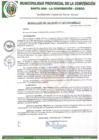 Vista preliminar de documento RA-247-2020-MPLC/A