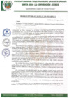 Vista preliminar de documento RA-296-2020-MPLC/A