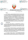 Vista preliminar de documento RDE N° 133-2021 - DIRECTIVA N° 009-2021-DE VENTA ILEGAL GUANO DE ISLAS.pdf
