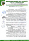 Vista preliminar de documento RA-228-2019-MPLC/A