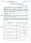 Vista preliminar de documento R.D.N°300.pdf