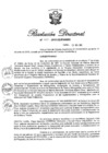Vista preliminar de documento RD N° 163-2016.pdf
