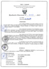 Vista preliminar de documento RD N°0393-2019.pdf