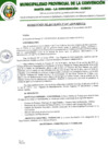 Vista preliminar de documento RA-647-2019-MPLC/A