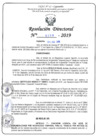Vista preliminar de documento RD N°0399-2019.pdf