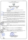 Vista preliminar de documento RD N°436-2019.pdf