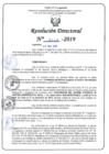 Vista preliminar de documento RD N°446-2019.pdf