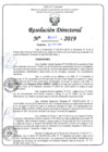 Vista preliminar de documento RD N°447-2019.pdf