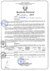Vista preliminar de documento RD N°456-2019.pdf