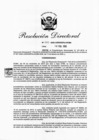Vista preliminar de documento RD 252-2020.pdf