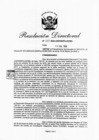 Vista preliminar de documento RD 263-2020.pdf