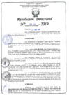 Vista preliminar de documento RD N°458-2019.pdf