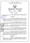 Vista preliminar de documento RD N°461-2019.pdf