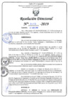 Vista preliminar de documento RD N°462-2019.pdf