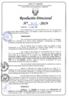 Vista preliminar de documento RD N°463-2019.pdf