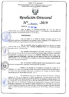 Vista preliminar de documento RD N°0491-2019.pdf