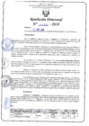 Vista preliminar de documento RD N°0493-2019.pdf