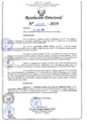 Vista preliminar de documento RD N°0503-2019.pdf