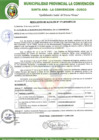 Vista preliminar de documento RA-171-2018-MPLC/A