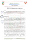 Vista preliminar de documento Conformación del Comite de Gobierno Digital - MDCHA.pdf