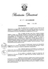 Vista preliminar de documento RD N° 251-2016.pdf