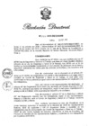 Vista preliminar de documento RD N° 256-2016.pdf
