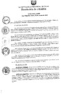 Vista preliminar de documento ra0392-2015