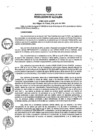Vista preliminar de documento ra0800-2015