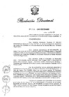 Vista preliminar de documento RD 038-2015.pdf