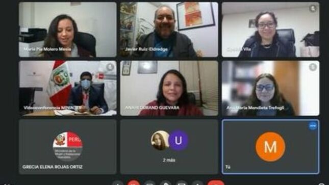 Pantallazo de la reunión virtual de los ministros y sus equipos.