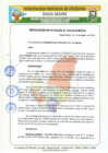 Vista preliminar de documento RA 525-2019.pdf