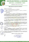Vista preliminar de documento RA-251-2018-MPLC/A