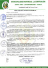 Vista preliminar de documento RA-267-2018-MPLC/A
