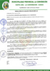 Vista preliminar de documento RA-269-2018-MPLC/A